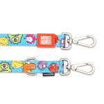 LITTLEMONSTERS_SKU_Multi-Leash