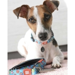 LITTLE-MONSTERS_SKU_Collar