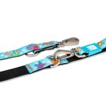 BLUEOCEAN_SKU_Multi-FunctionLeash_1