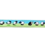 BLACKSHEEP_SKU_ShortLeash_1