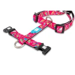 MAGICAL_SKU_Harness_1