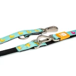 DUCKLINGS_SKU_Multi-Leash