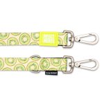 KIWI_SKU_Multi-Leash