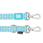 RETROBLUE_SKU_Multi-Leash