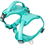 Max & Molly  Sport Harness - Design - Matrix 2.0 Turquoise