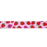 STRAWBERRY-DREAM_SKU_Multi-Function-Leash_1