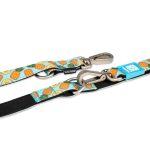 SWEETPINEAPPLE_SKU_Multi-Function-Leash-_1