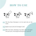 dry-shampoo01