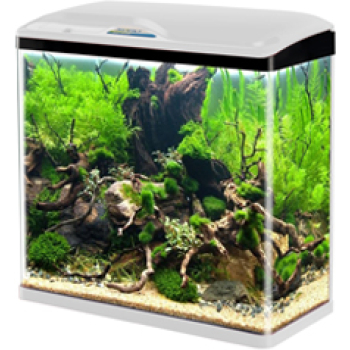 SOBO New Small Tank SO-500F