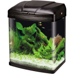 SOBO new small tank  T-28F