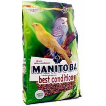 Manitoba  Best Condition Manitoba - Semi della salute 2,5 kg 26092